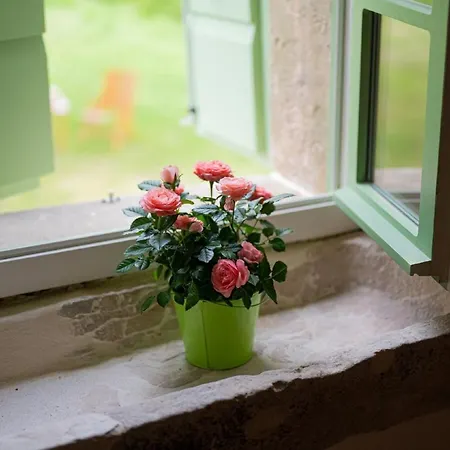 Villa Stanzia Sparagna